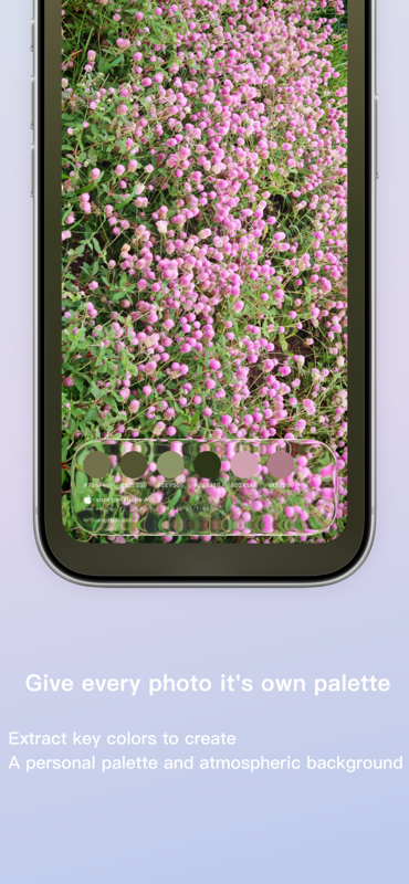 colorsmark 应用截图 1